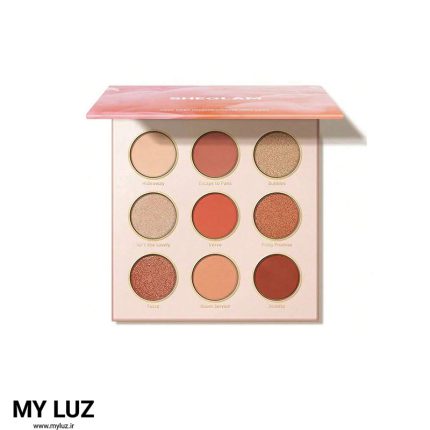 سایه 9 رنگ شیگلم Rose code palette (Sheglam)